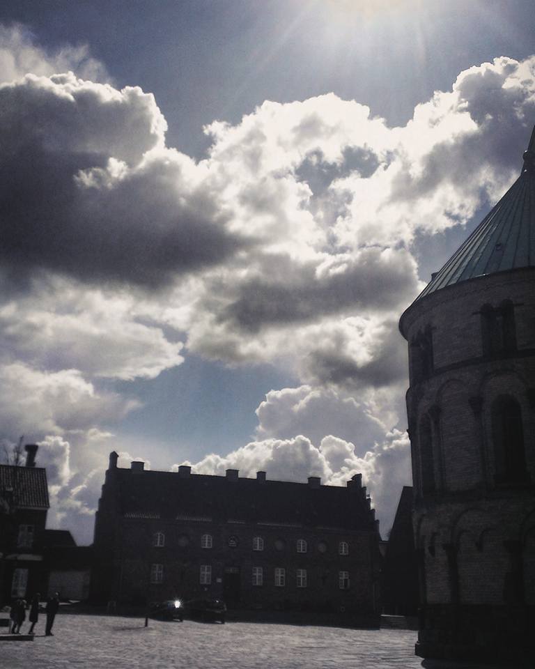 13087838_782574765210369_236981973331594314_n